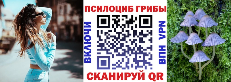 Галлюциногенные грибы прущие грибы  Волосово 